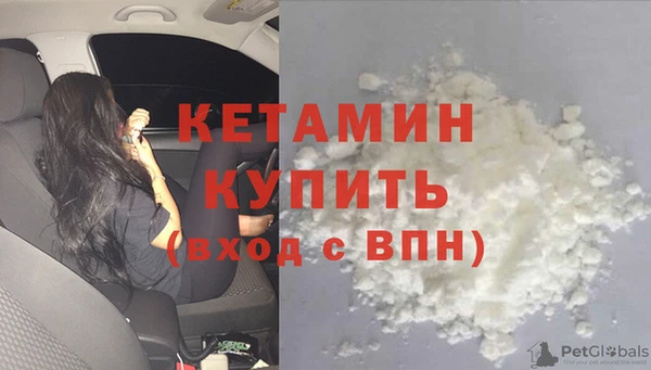 прущие грибы Балахна