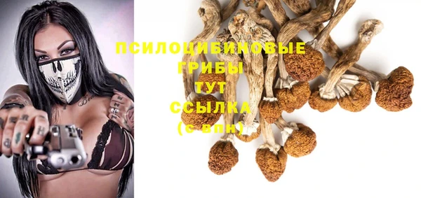 прущие грибы Балахна