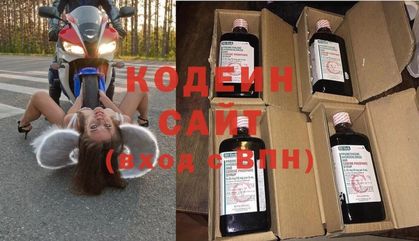 прущие грибы Балахна