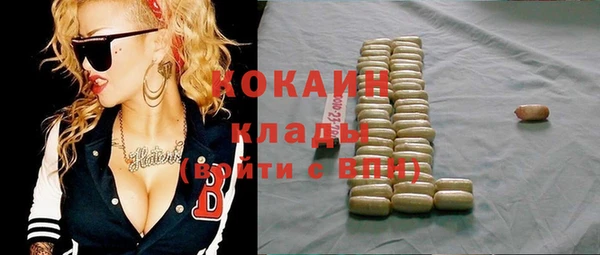 дмт Арсеньев